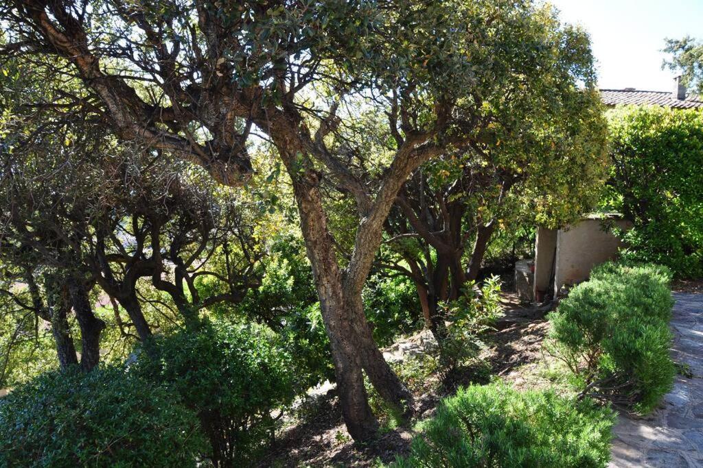 Villa Abeille : Douces Vacances D'Ete Avec Vue Mer กาวาแลร์-ซูร์-แมร์ ภายนอก รูปภาพ
