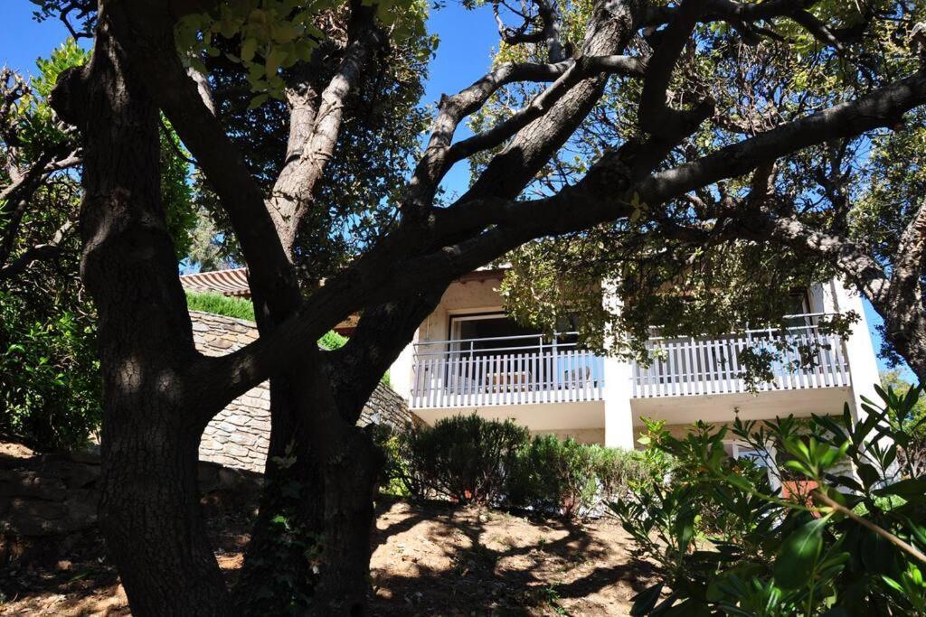 Villa Abeille : Douces Vacances D'Ete Avec Vue Mer กาวาแลร์-ซูร์-แมร์ ภายนอก รูปภาพ