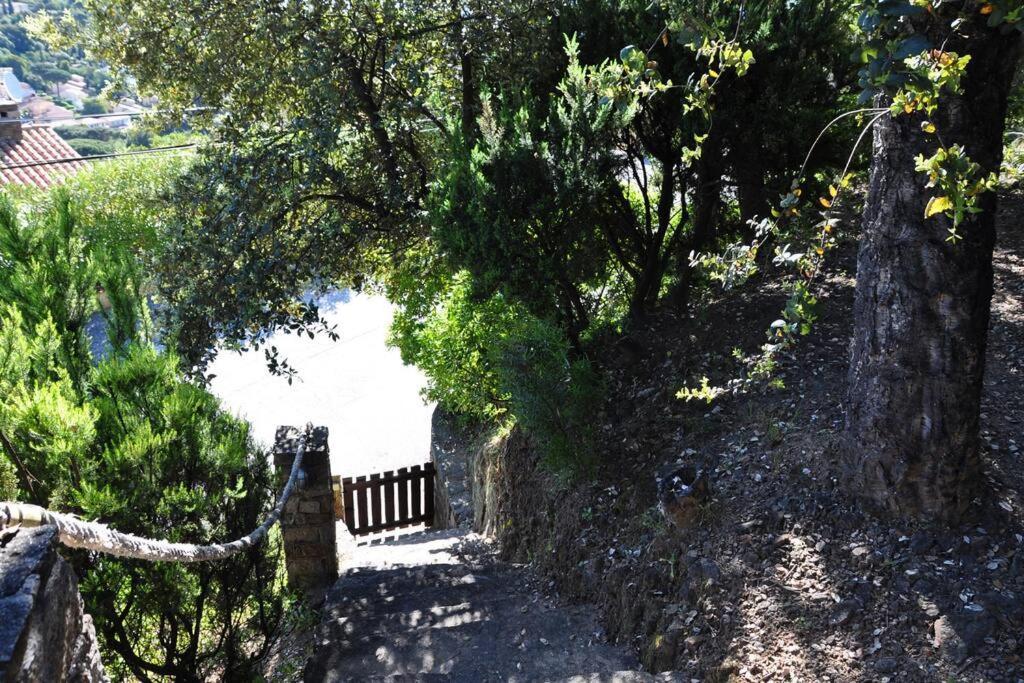 Villa Abeille : Douces Vacances D'Ete Avec Vue Mer กาวาแลร์-ซูร์-แมร์ ภายนอก รูปภาพ